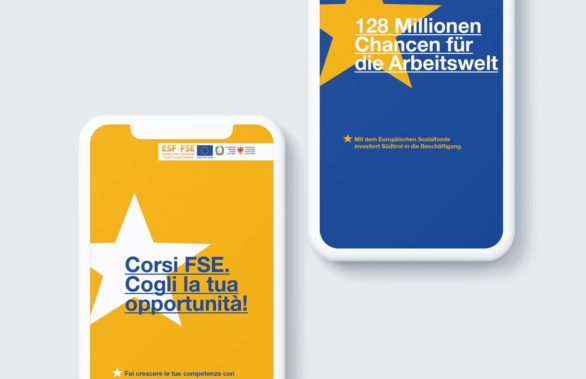 Campagna FSE